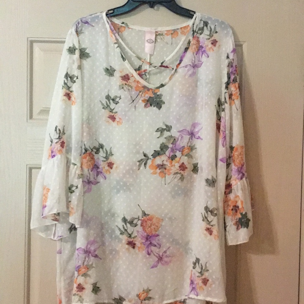 Pink Coconut Boutique sheer blouse.